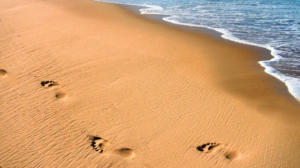 Beach sea coast water