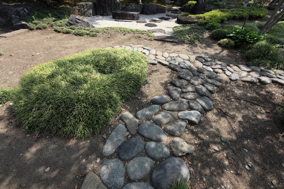 風景 草 rock 芝生