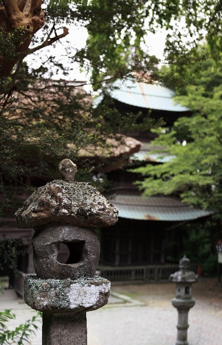 パノラマ 高い 公園 寺