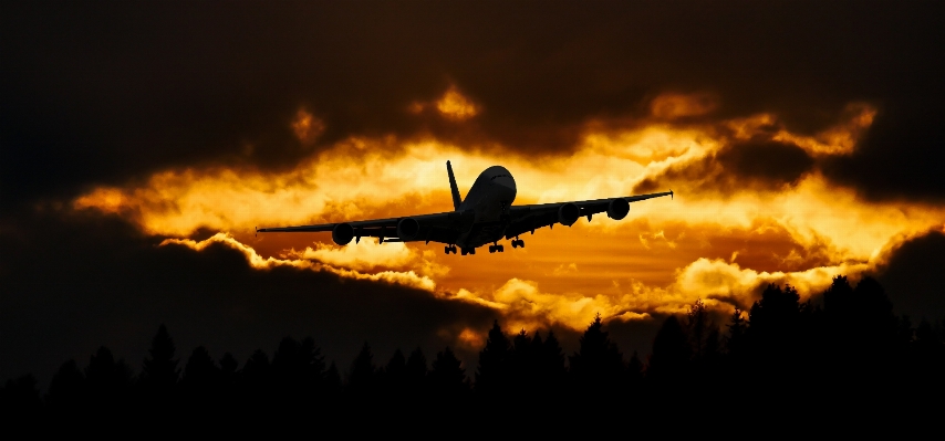 Wing light cloud sky Photo