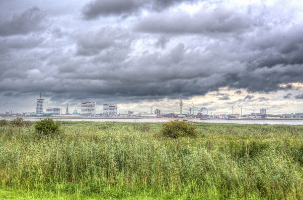 Landscape grass horizon marsh Photo