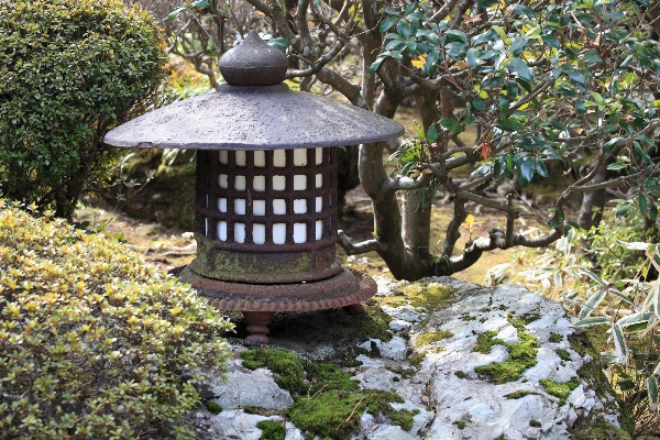 Lantern high museum autumn Photo