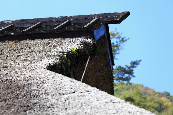 Sky roof high facade Photo