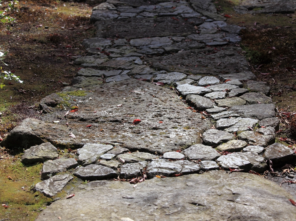 Rock 石畳
 壁 結石