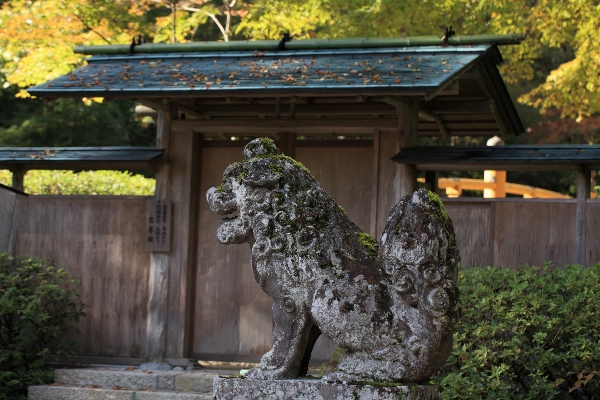 Statue zoo high park Photo