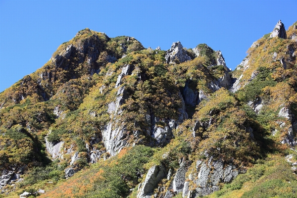 Tree rock wilderness walking Photo