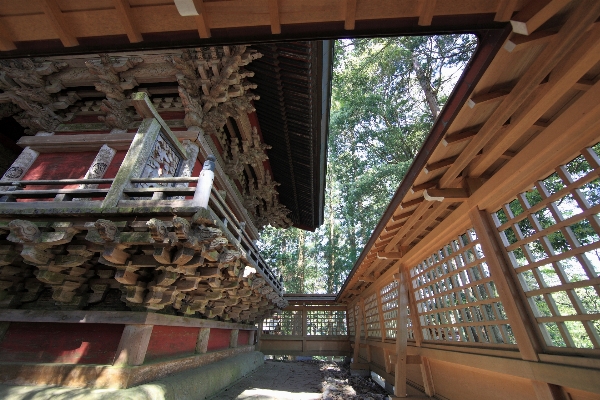 Wood window roof home Photo