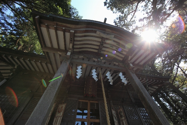 High shrine tochigi 5d Photo