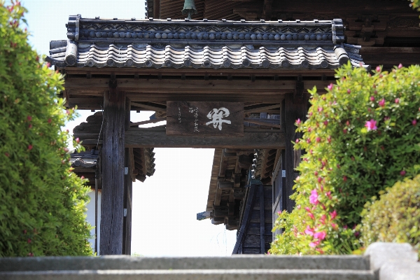 Architecture high tourism gate Photo