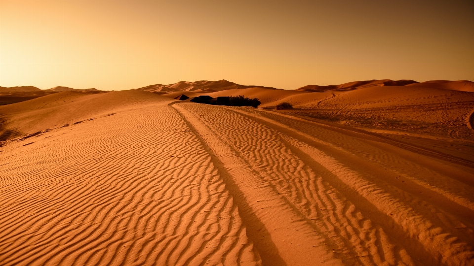 Landschaft sand wüste düne
