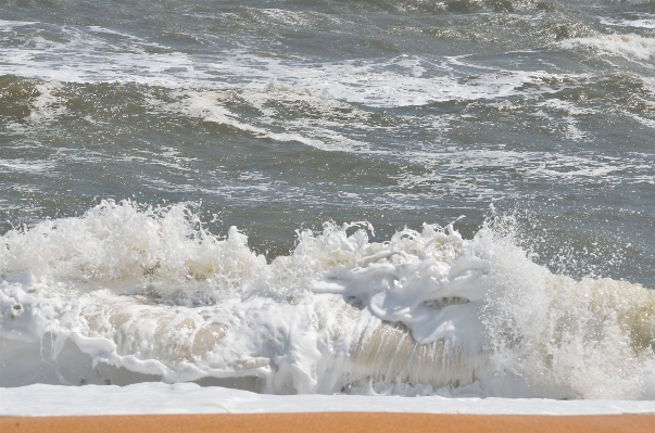 Beach sea coast water Photo