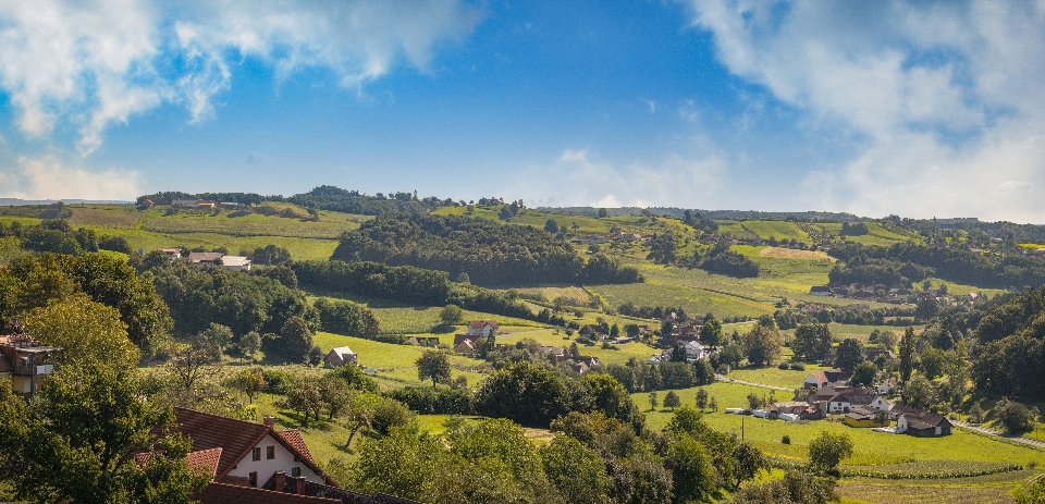 Paisaje árbol naturaleza montaña