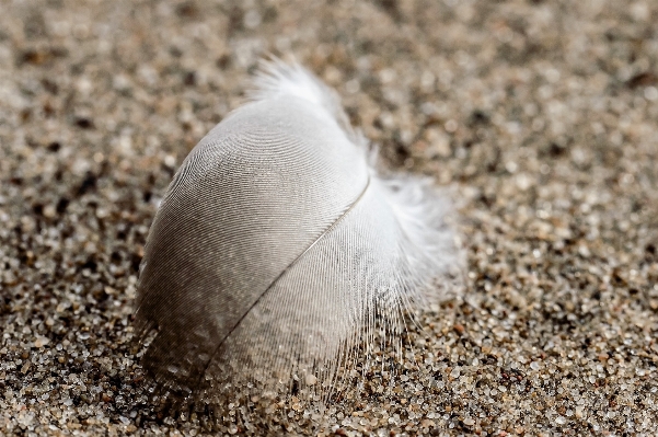 Nature sand rock white Photo