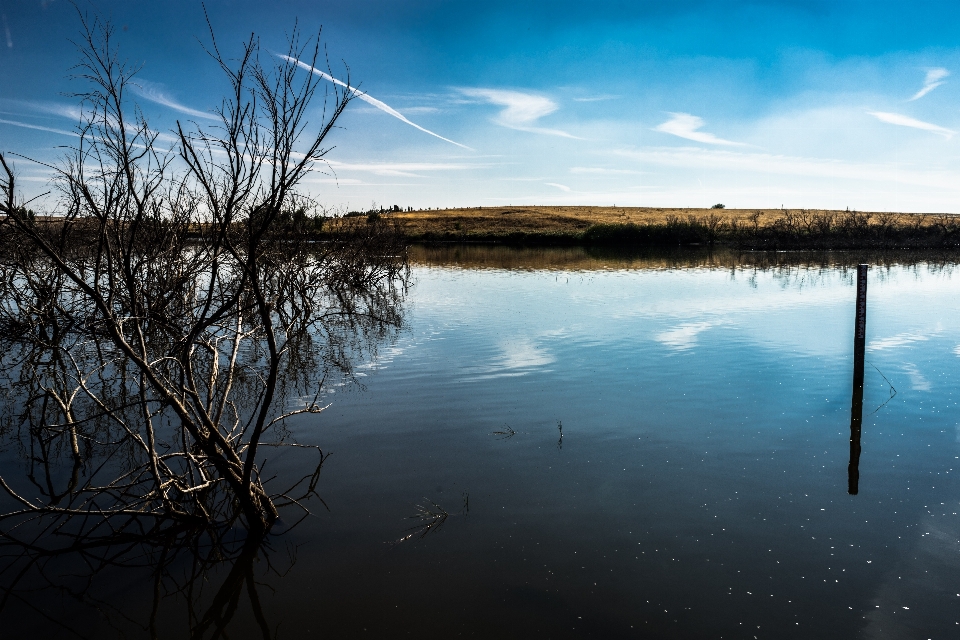 Paisagem mar árvore água