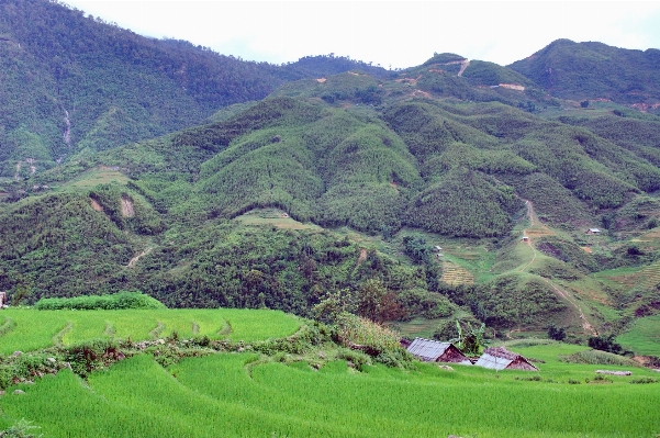 Landscape mountain field meadow Photo