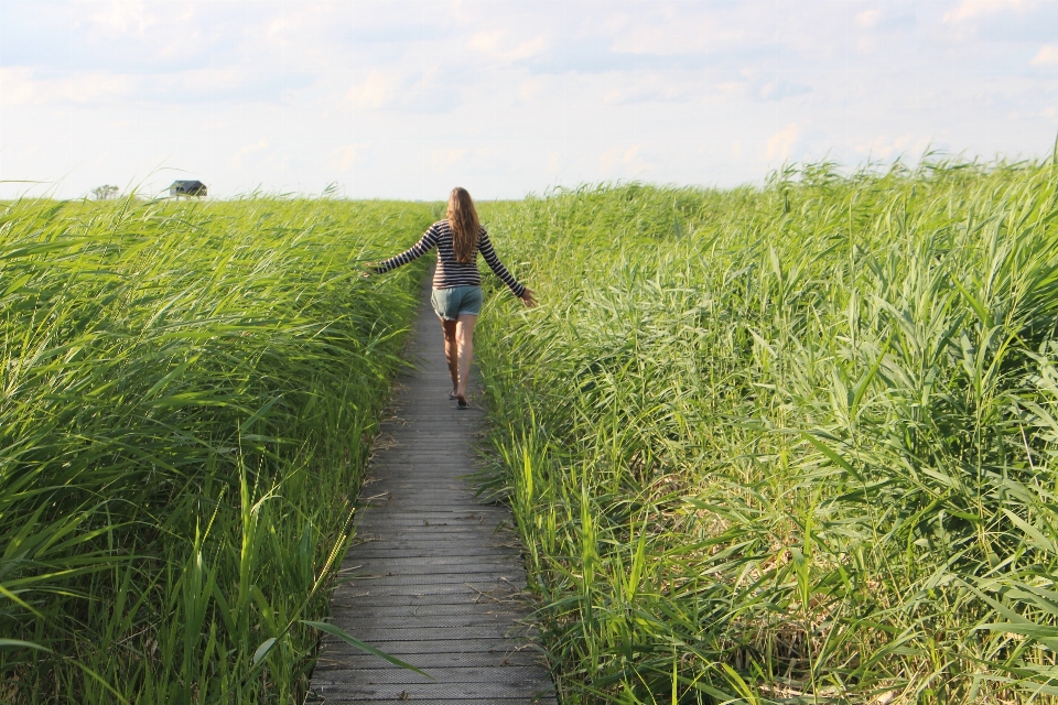 Landscape nature grass girl