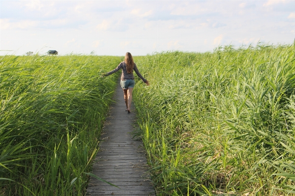 Landscape nature grass girl Photo