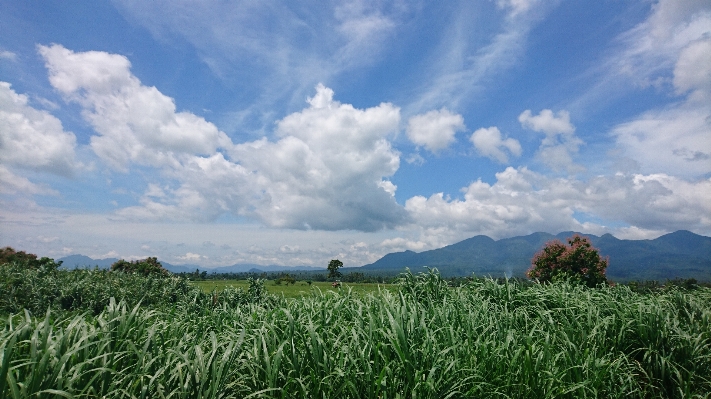 Landscape grass horizon mountain Photo