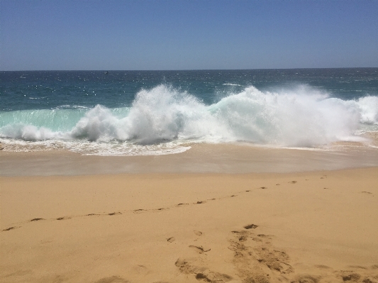 Beach sea coast water Photo