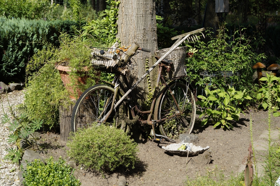 Camino bicicleta vehículo suelo