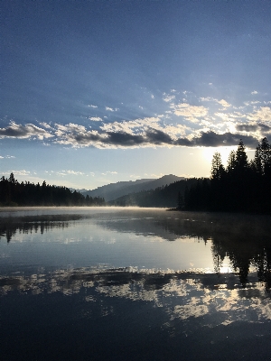 Landscape water nature forest Photo