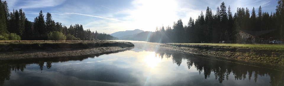 風景 水 自然 森