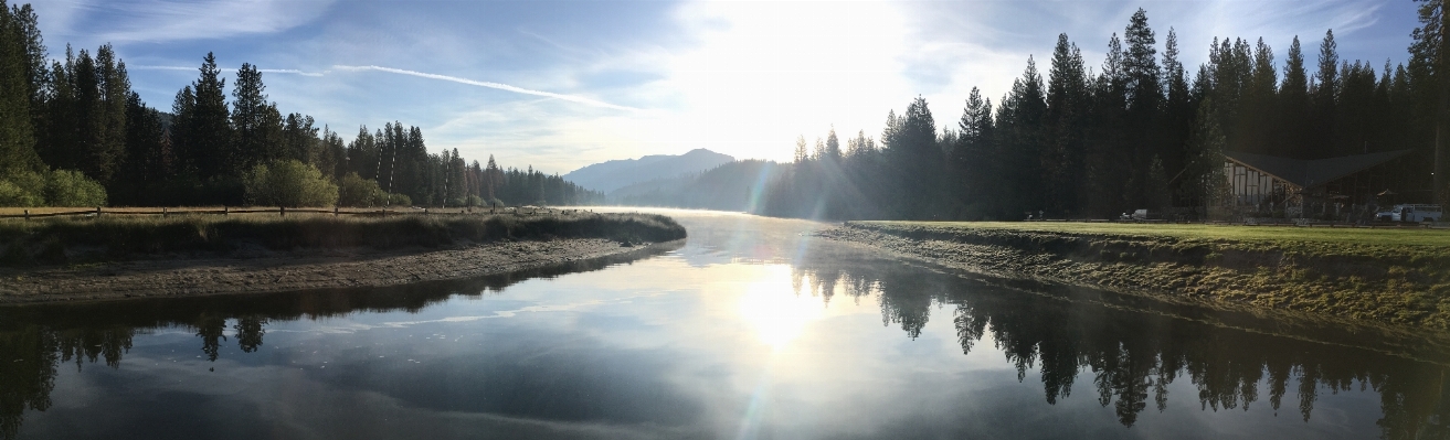 風景 水 自然 森 写真