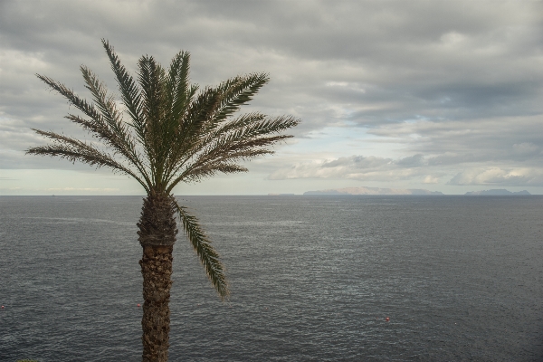 Beach landscape sea coast Photo