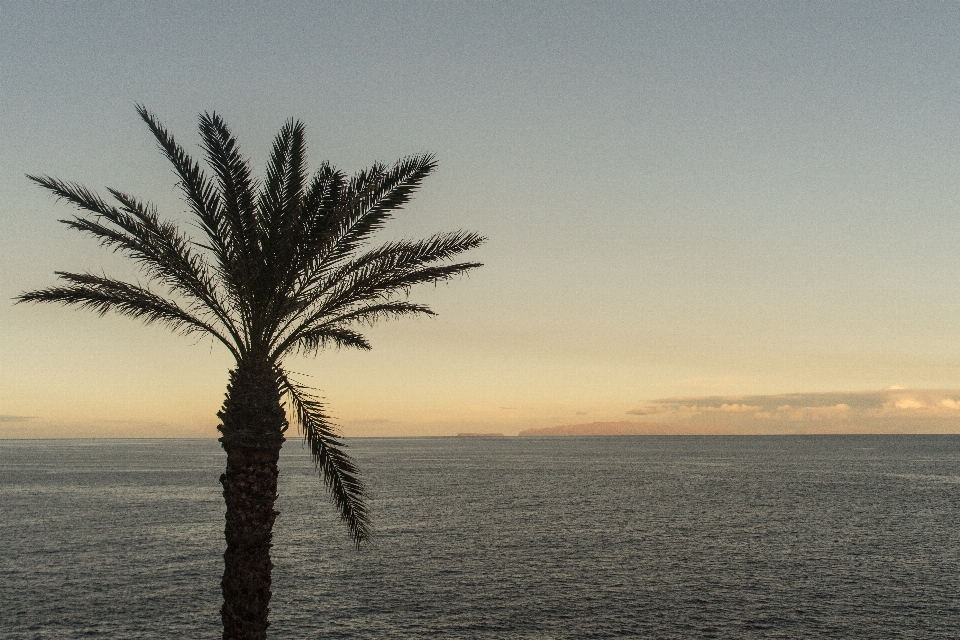 Playa paisaje mar costa