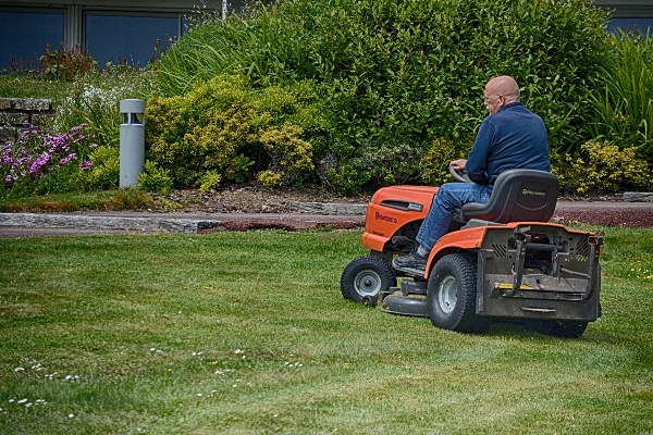 Man grass field lawn Photo