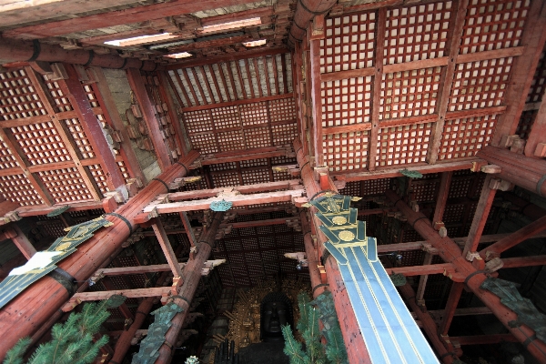 Architecture wood roof shed Photo