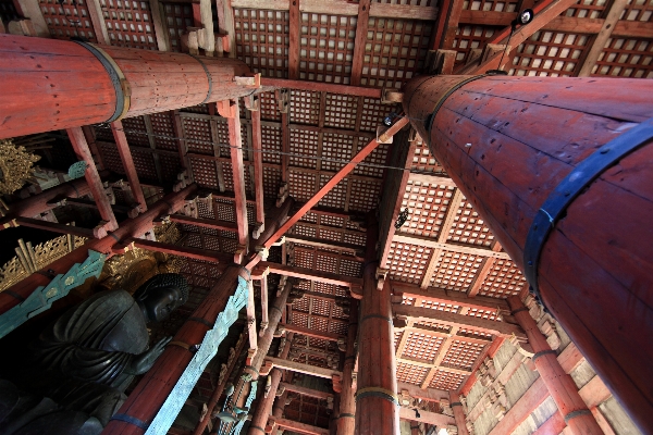 建築 木 高い 工場 写真