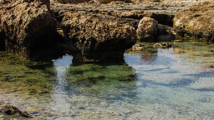 Beach sea coast water Photo