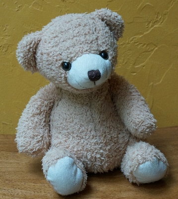 Cute bear toy teddy Photo