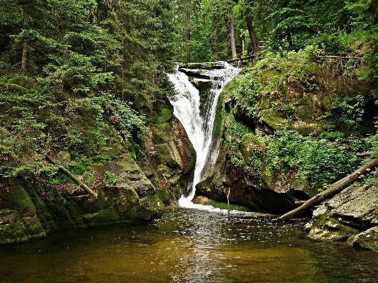 風景 木 水 自然 写真