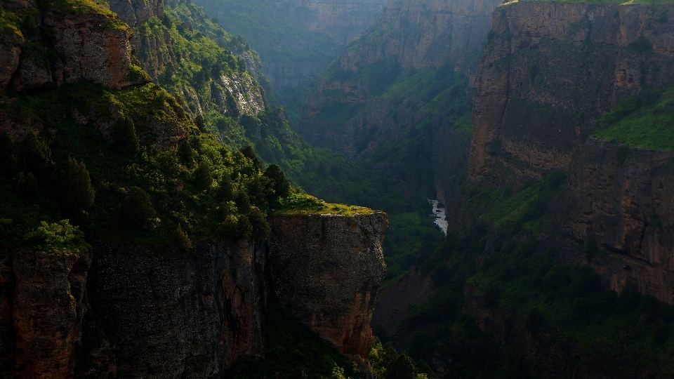 Landscape nature forest rock