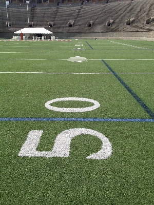 Grass structure sport field Photo