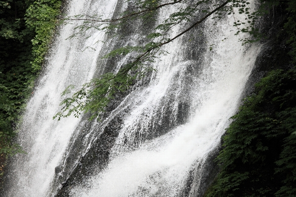 Water waterfall stream high Photo