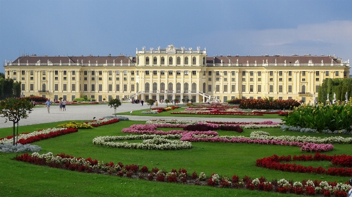 Lawn building chateau palace Photo