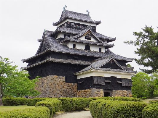 建物 シャトー
 タワー 城 写真