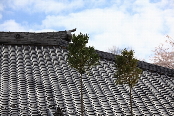 Fence architecture roof wall Photo