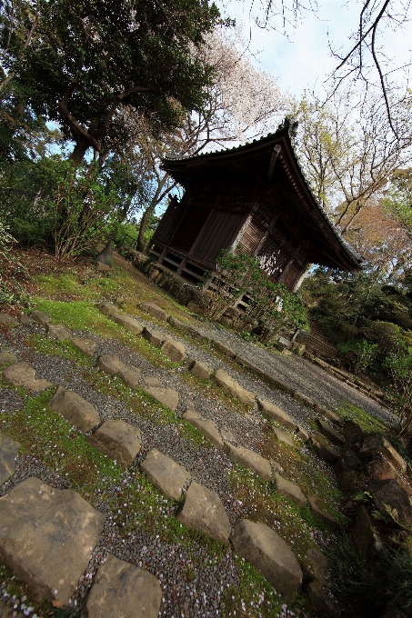 木 建築 トレイル 高い