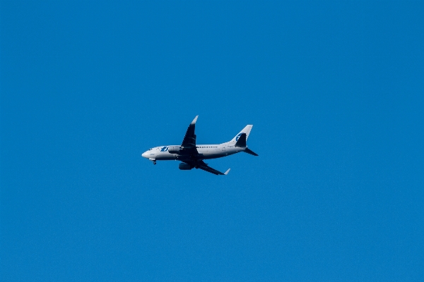 羽 空 空港 夏 写真