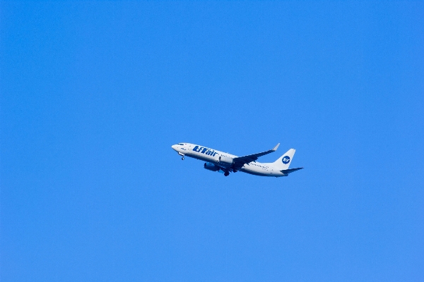 羽 空 空港 夏 写真