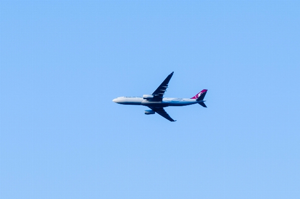 羽 空 空港 夏 写真