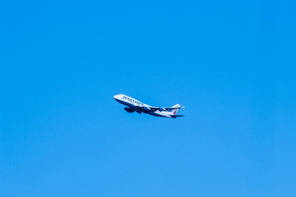 羽 空 空港 夏 写真