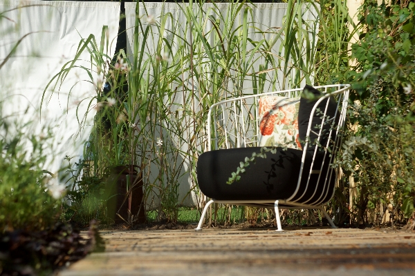 Grass creative chair recreation Photo