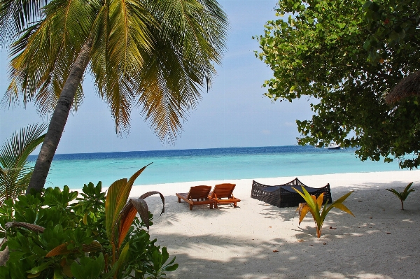 Beach landscape sea coast Photo