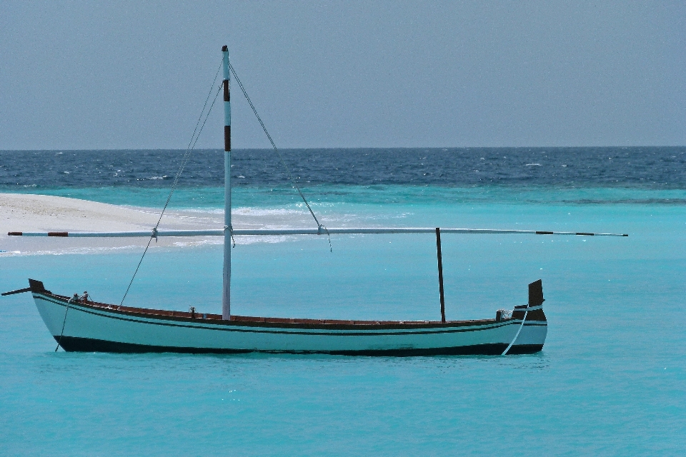 Plage mer eau nature