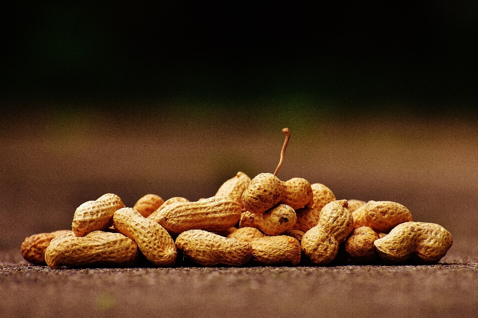 Ouvrir usine fruit nourriture